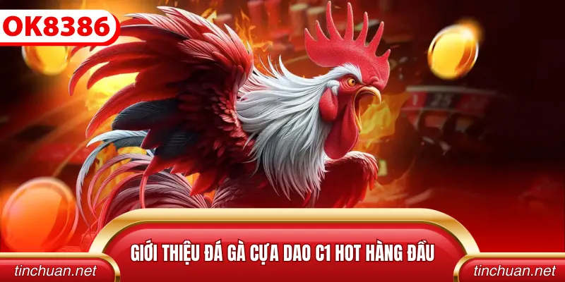 Giới thiệu đá gà cựa dao C1 hot hàng đầu