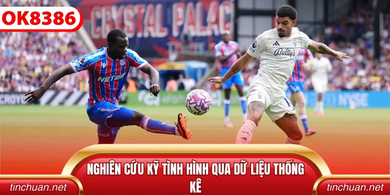 Nghiên cứu kỹ tình hình qua dữ liệu thống kê