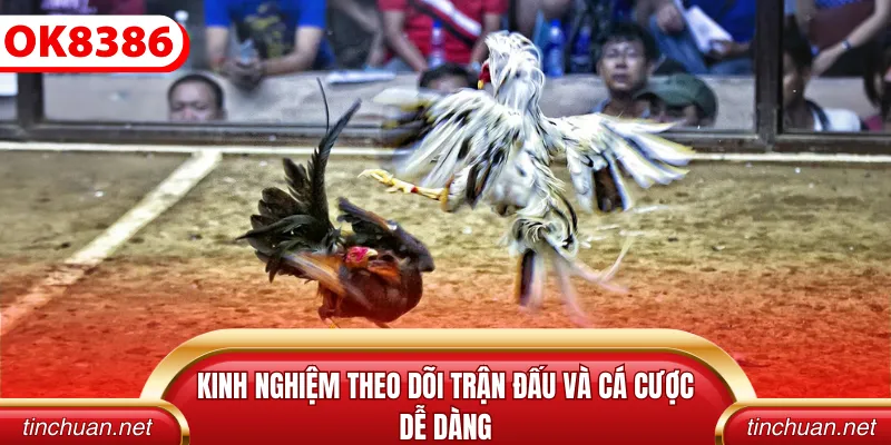 Thưởng thức phần tranh tài gay cấn giúp bạn kiếm thưởng lớn